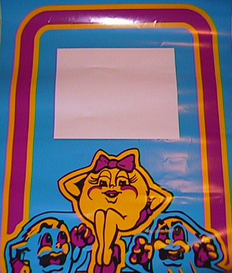 Ms Pac Replacement front